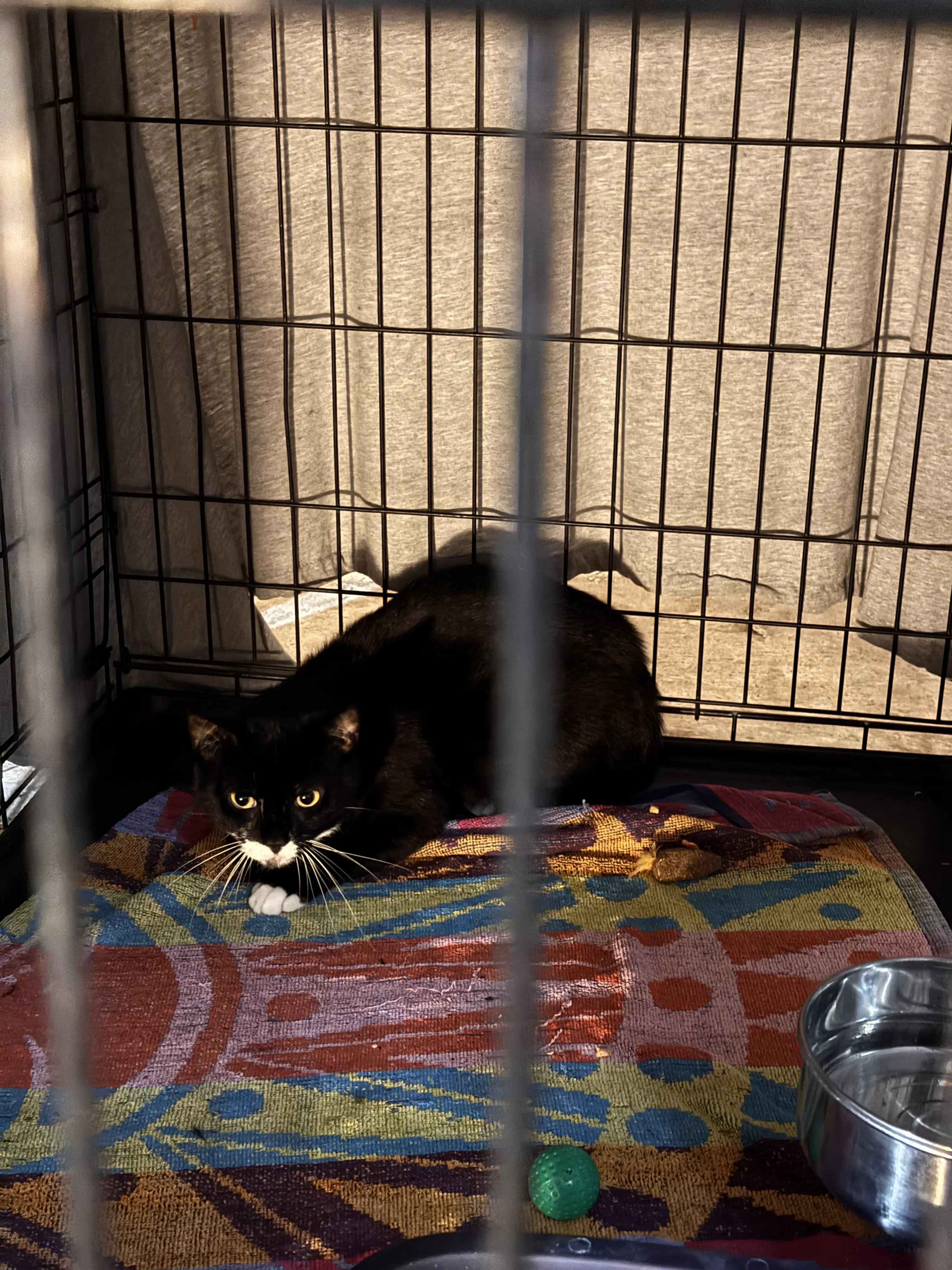 Dillian in the shelter basement